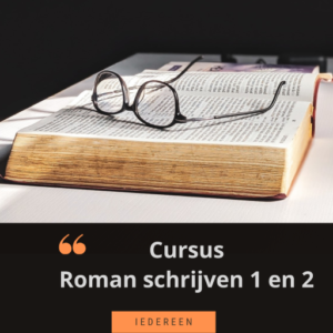 roman schrijfcursus