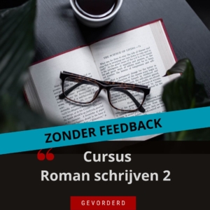 schrijfcursus Roman