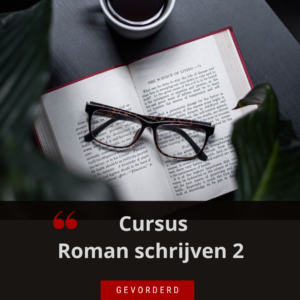 online schrijfcursus